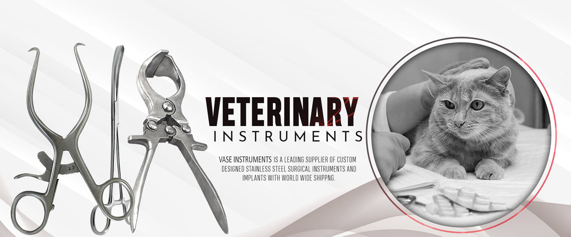 https://vaseinstruments.com/source/banner/main-new/veterinary-instruments.jpg