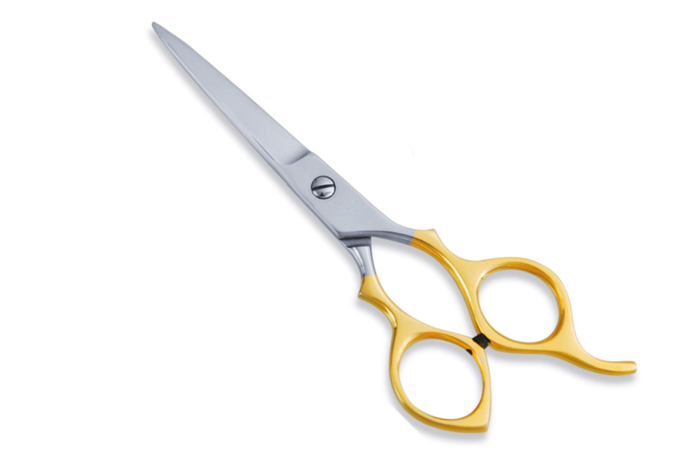 Economy Hair Scissors