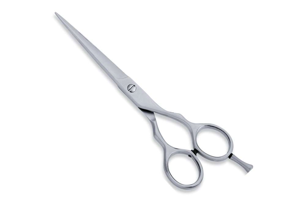 Economy Hair Scissors