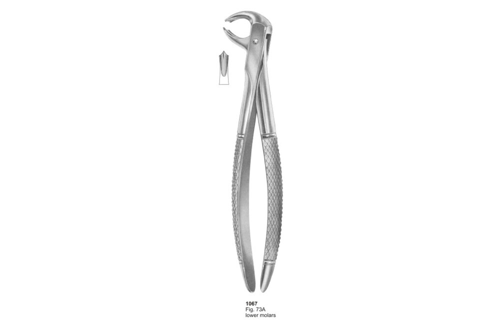 Extracting Forceps